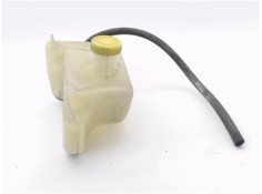 BOTELLA EXPANSION 217104F110 