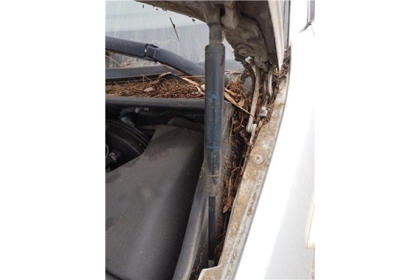 Recambio de amortiguador capo para bmw serie 3 touring (e46) 2.2 320i referencia OEM IAM 51238202688  