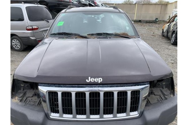 Recambio de capo para jeep grand cherokee (wj/wg) 2.7 crd laredo referencia OEM IAM 55076470AE  