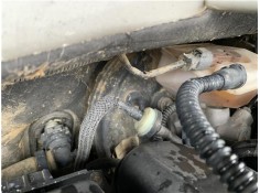 Recambio de servofreno para peugeot partner combispace (5f) 1.6 hdi 90 referencia OEM IAM 4535AW  