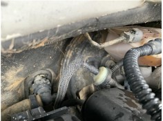 Recambio de servofreno para peugeot partner combispace (5f) 1.6 hdi 90 referencia OEM IAM 4535AW  