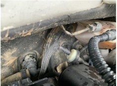 Recambio de servofreno para peugeot partner combispace (5f) 1.6 hdi 90 referencia OEM IAM 4535AW  