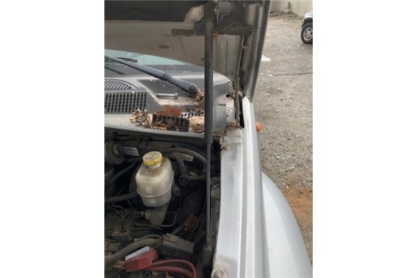 Recambio de amortiguador capo para jeep cherokee (kj) 2.8 crd extreme referencia OEM IAM 55360411AC  