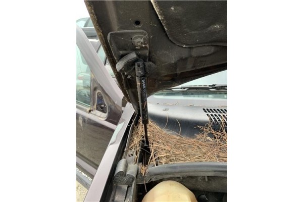 Recambio de amortiguador capo para jeep grand cherokee (wj/wg) 2.7 crd laredo referencia OEM IAM 55352897AB  