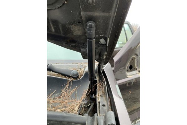 Recambio de amortiguador capo para jeep grand cherokee (wj/wg) 2.7 crd laredo referencia OEM IAM 55352897AB  