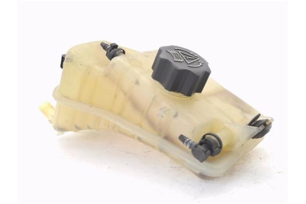 Recambio de botella expansion para citroen xsara picasso 2.0 hdi referencia OEM IAM 9646902580  