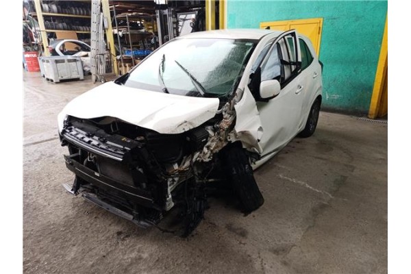 kia picanto (ja) del año 2024