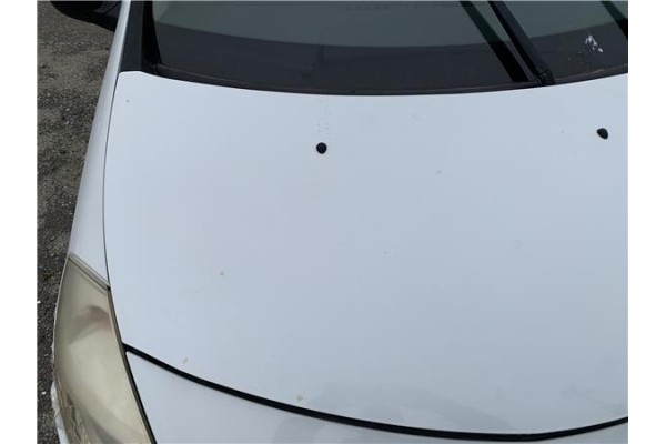 Recambio de capo para renault clio iii 1.5 dci (c/br1g) referencia OEM IAM 7751476113 8201020392 