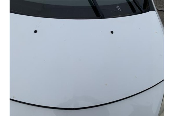 Recambio de capo para renault clio iii 1.5 dci (c/br1g) referencia OEM IAM 7751476113 8201020392 