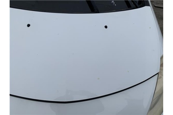 Recambio de capo para renault clio iii 1.5 dci (c/br1g) referencia OEM IAM 7751476113 8201020392 