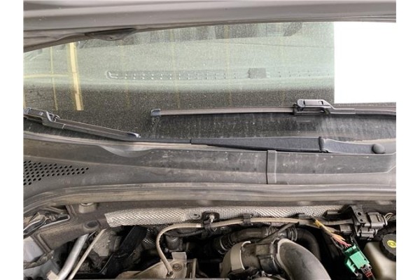 Recambio de brazo limpiaparabrisas delantero derecho para volkswagen golf vii (5g1/be1) híbrido gte referencia OEM IAM 5G2955409