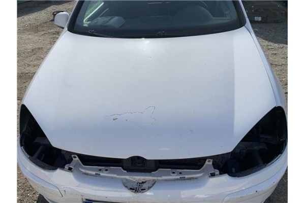 Recambio de capo para volkswagen golf v (1k1) 1.9 tdi referencia OEM IAM 1K0823031J  