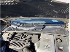 TORPEDO 5570848041 5570848042 