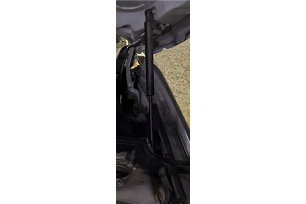 Recambio de amortiguador capo para bmw serie 1 berlina (e81/e87) 2.0 118d referencia OEM IAM 51237118370  