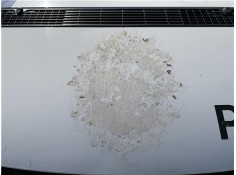 Recambio de capo para peugeot expert furgón 2.0 furgón l1h1 referencia OEM IAM 1608371780  