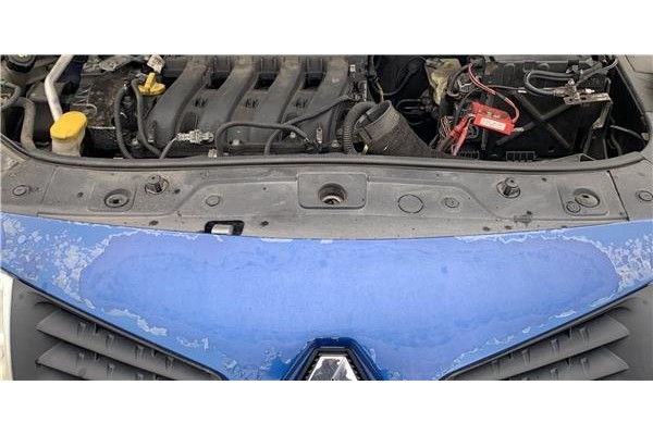 Recambio de radiador para renault megane ii (bm0/1_, cm0/1_) 2.0 16v (bm0u, cm0u) referencia OEM IAM 8200115542  