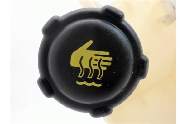 Recambio de botella expansion para renault twingo ii 1.2 authentique referencia OEM IAM 8200369313  