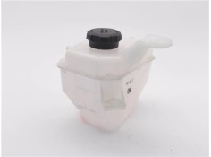 BOTELLA EXPANSION 25430G6000 