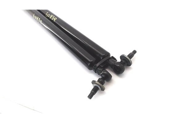 Recambio de amortiguador porton para chrysler voyager (rg) 2.5 crd lx referencia OEM IAM AZCH006  