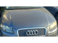 Recambio de capo para audi a3 sportback (8pa) 1.9 tdi ambiente referencia OEM IAM 8P4823029B  