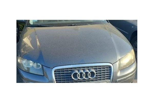 Recambio de capo para audi a3 sportback (8pa) 1.9 tdi ambiente referencia OEM IAM 8P4823029B  