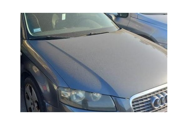 Recambio de capo para audi a3 sportback (8pa) 1.9 tdi ambiente referencia OEM IAM 8P4823029B  