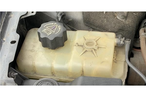 Recambio de botella expansion para citroen c5 tourer 2.0 business class referencia OEM IAM 1323HE 13100000 