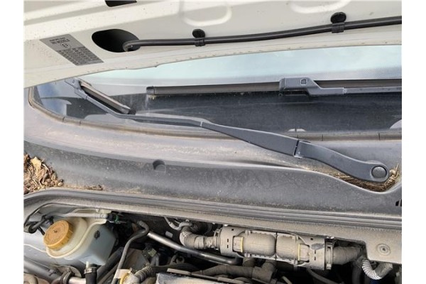 Recambio de brazo limpiaparabrisas delantero derecho para opel combo d 1.3 cargo l1h1 2,2t referencia OEM IAM 95513460  
