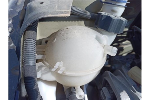 Recambio de botella expansion para citroen c2 1.1 referencia OEM IAM 9800777280  