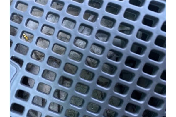 Recambio de motor limpiaparabrisas delantero para renault grand scénic iii (jz0/1_) 1.5 dci referencia OEM IAM 288000002R  