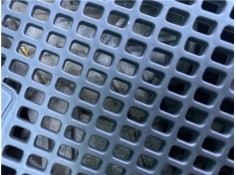 Recambio de motor limpiaparabrisas delantero para renault grand scénic iii (jz0/1_) 1.5 dci referencia OEM IAM 288000002R  