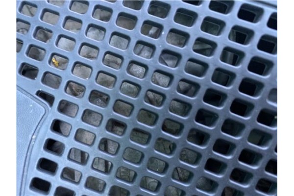 Recambio de motor limpiaparabrisas delantero para renault grand scénic iii (jz0/1_) 1.5 dci referencia OEM IAM 288000002R  