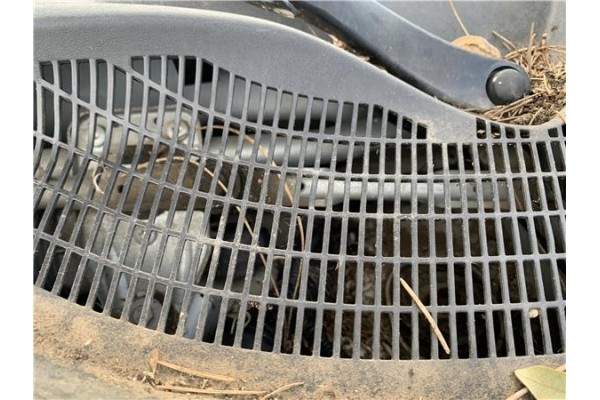 Recambio de motor limpiaparabrisas delantero para opel combo d 1.3 cargo l1h1 2,2t referencia OEM IAM 95513457  