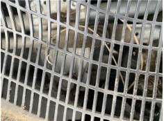 Recambio de motor limpiaparabrisas delantero para opel combo d 1.3 cargo l1h1 2,2t referencia OEM IAM 95513457  