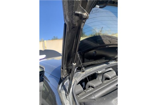 Recambio de amortiguador porton para citroen c4 cactus 1.5 business class referencia OEM IAM 9813913880  