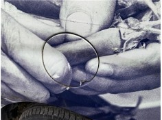 Recambio de tapa exterior combustible para opel combo d 1.3 cargo l1h1 2,2t referencia OEM IAM 95512112 95528532 