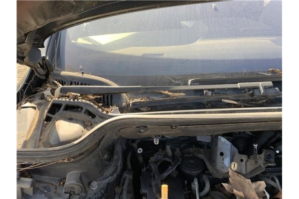 Recambio de brazo limpiaparabrisas delantero derecho para peugeot 407 coupé 2.0 hdi referencia OEM IAM 6429Z7  