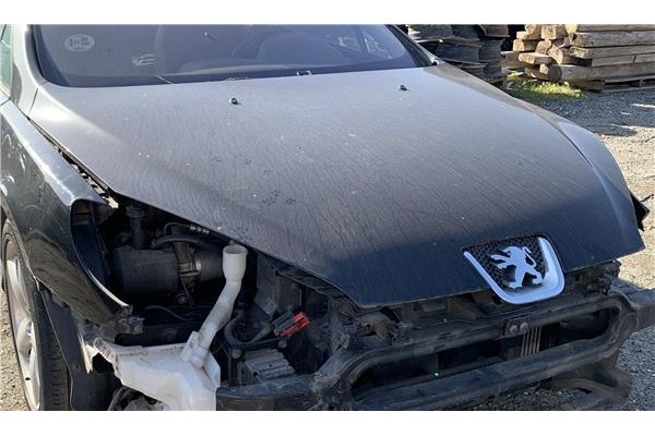 Recambio de centralita para peugeot 407 coupé 2.0 hdi referencia OEM IAM 6580LG  
