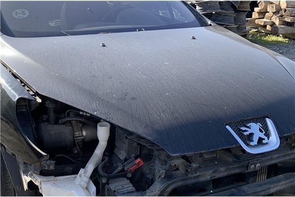 Recambio de egr para peugeot 407 coupé 2.0 hdi referencia OEM IAM 1618GZ  
