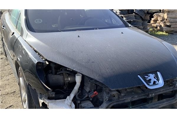 Recambio de motor calefaccion para peugeot 407 coupé 2.0 hdi referencia OEM IAM 6441AJ L5771000 