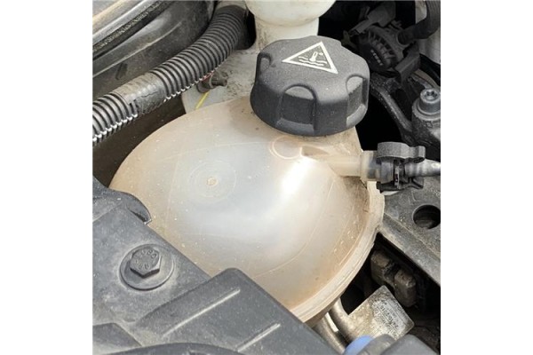 Recambio de botella expansion para citroen c4 cactus 1.5 business class referencia OEM IAM 9800777280  