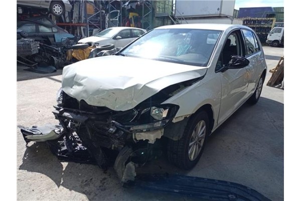 volkswagen golf vii berlina (bq1/be2) del año 2020