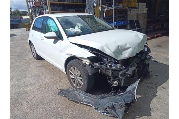 volkswagen golf vii berlina (bq1/be2) del año 2020