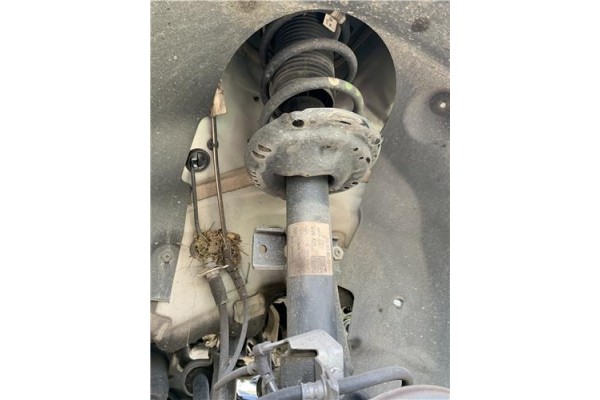 Recambio de amortiguador delantero derecho para seat ibiza (kj1) 1.0 fr referencia OEM IAM 824903016573 2Q0413031AJ 