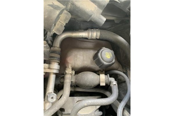 Recambio de botella expansion para renault grand scénic iii (jz0/1_) 1.5 dci referencia OEM IAM 217100005R  