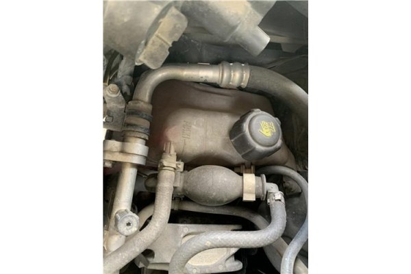 Recambio de botella expansion para renault grand scénic iii (jz0/1_) 1.5 dci referencia OEM IAM 217100005R  