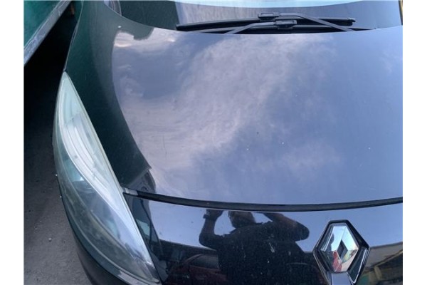 Recambio de capo para renault grand scénic iii (jz0/1_) 1.5 dci referencia OEM IAM 651009018R  