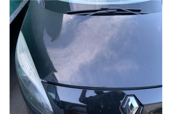 Recambio de capo para renault grand scénic iii (jz0/1_) 1.5 dci referencia OEM IAM 651009018R  