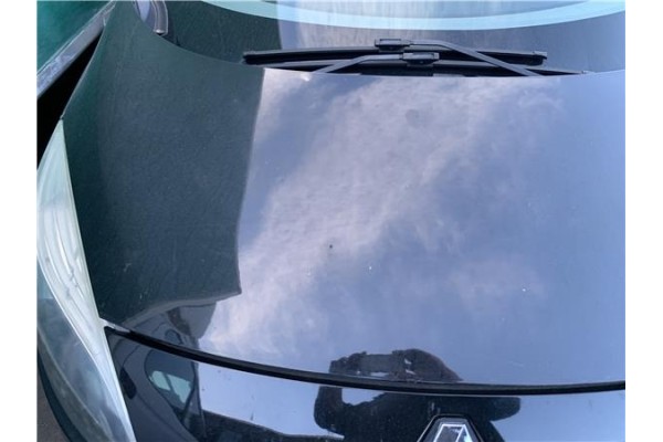 Recambio de capo para renault grand scénic iii (jz0/1_) 1.5 dci referencia OEM IAM 651009018R  