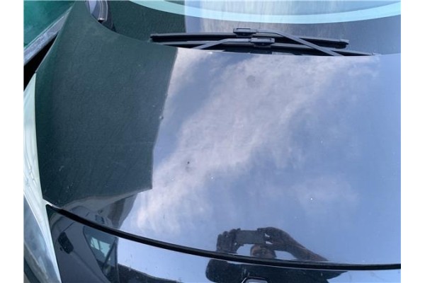 Recambio de capo para renault grand scénic iii (jz0/1_) 1.5 dci referencia OEM IAM 651009018R  